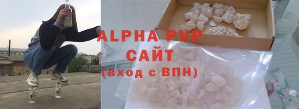 стаф Богородск